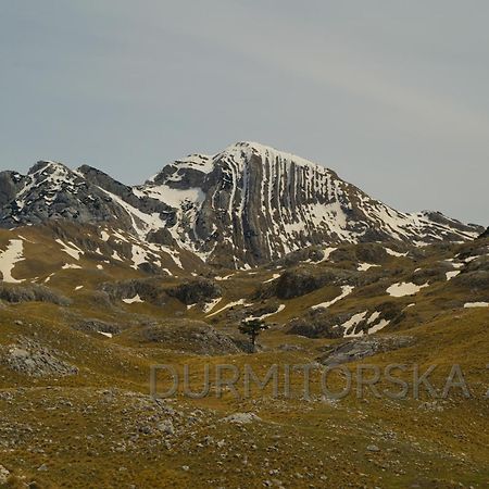 Villa Durmitorska Zora Žabljak Exterior foto